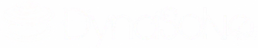 DynaSolve